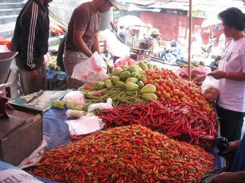 ປູກຝັງເພື່ອຕ້ານໄພເງິນເຟີ້ ຢູ່ ອິນໂດເນເຊຍ - ảnh 1